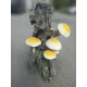 Dekorativer Baumstumpf mit Pilzen